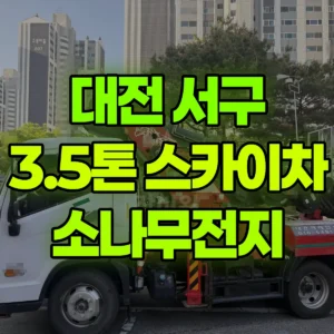 대전 서구 3.5톤 스카이차 소나무전지 일대 후기