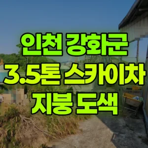 인천 강화군 3.5톤 스카이차 단층 지붕도색 입니다..측면으로 길게 빼야됩니다 2일 비용