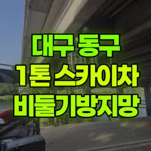 대구 동구 1톤 스카이차 다리밑 비둘기방지망 작업 2시간 비용