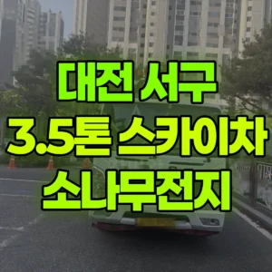 대전 서구 3.5톤 스카이차 소나무전지 반나절 후기