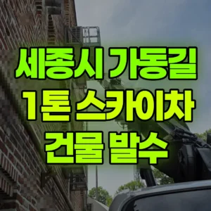 세종시 가동길 1톤 스카이차 건물 발수 일대 후기