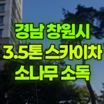 경남 창원시 성산구 스카이차 소나무 소독 현장 사진