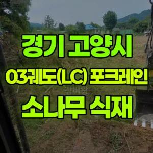 경기 고양시 03궤도(LC) 포크레인(굴착기) 2일차-1000평 소나무 식재 전 사전작업  일대 비용