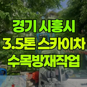 경기 시흥시 3.5톤 스카이차 수목방재작업 일대 후기