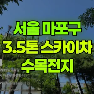 서울 마포구 3.5톤 스카이차 수목전지 반나절 후기