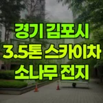 경기 김포시 장기동 스카이차 소나무 전지, 전정 현장 사진