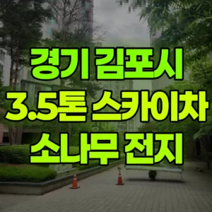 경기 김포시 3.5톤 스카이차 소나무 전지,전정 1시간 비용