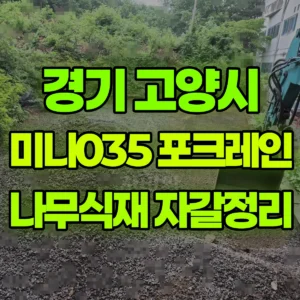 경기 고양시 미니035 포크레인(굴착기) 나무식재/자갈정리 일대 비용