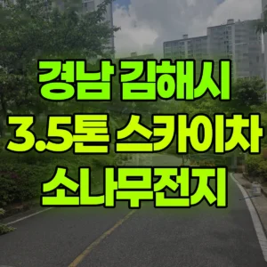 경남 김해시 3.5톤 스카이차 소나무전지 일대 비용