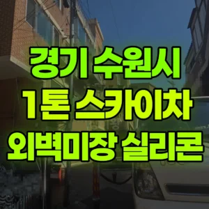 경기 수원시 1톤 스카이차 외벽미장땜빵 30분 실리콘 20 분  2시간 후기