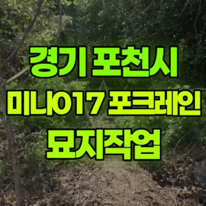 경기 포천시 미니017 포크레인(굴착기) 묘지작업 반나절 비용