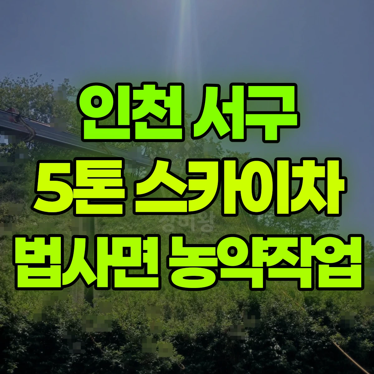 인천 서구 5톤 스카이차 법사면 농약작업 일대 후기