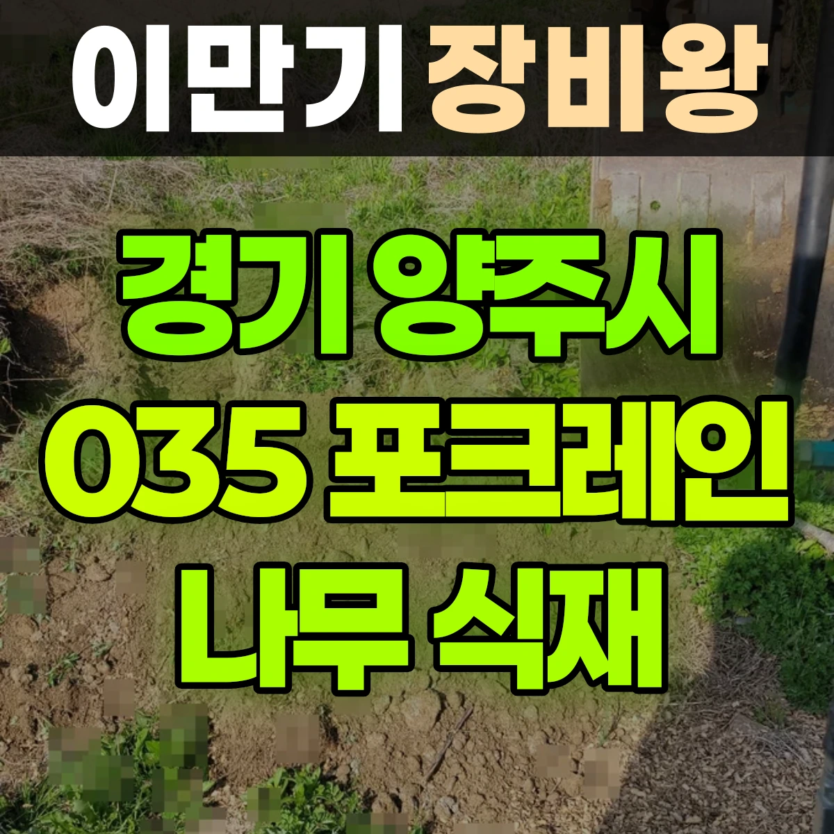 경기 양주시 035 포크레인 나무식재-쪽바가지필수 일대 비용