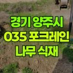 경기 양주시 율정동 포크레인 나무식재 – 쪽바가지 필수 현장 사진