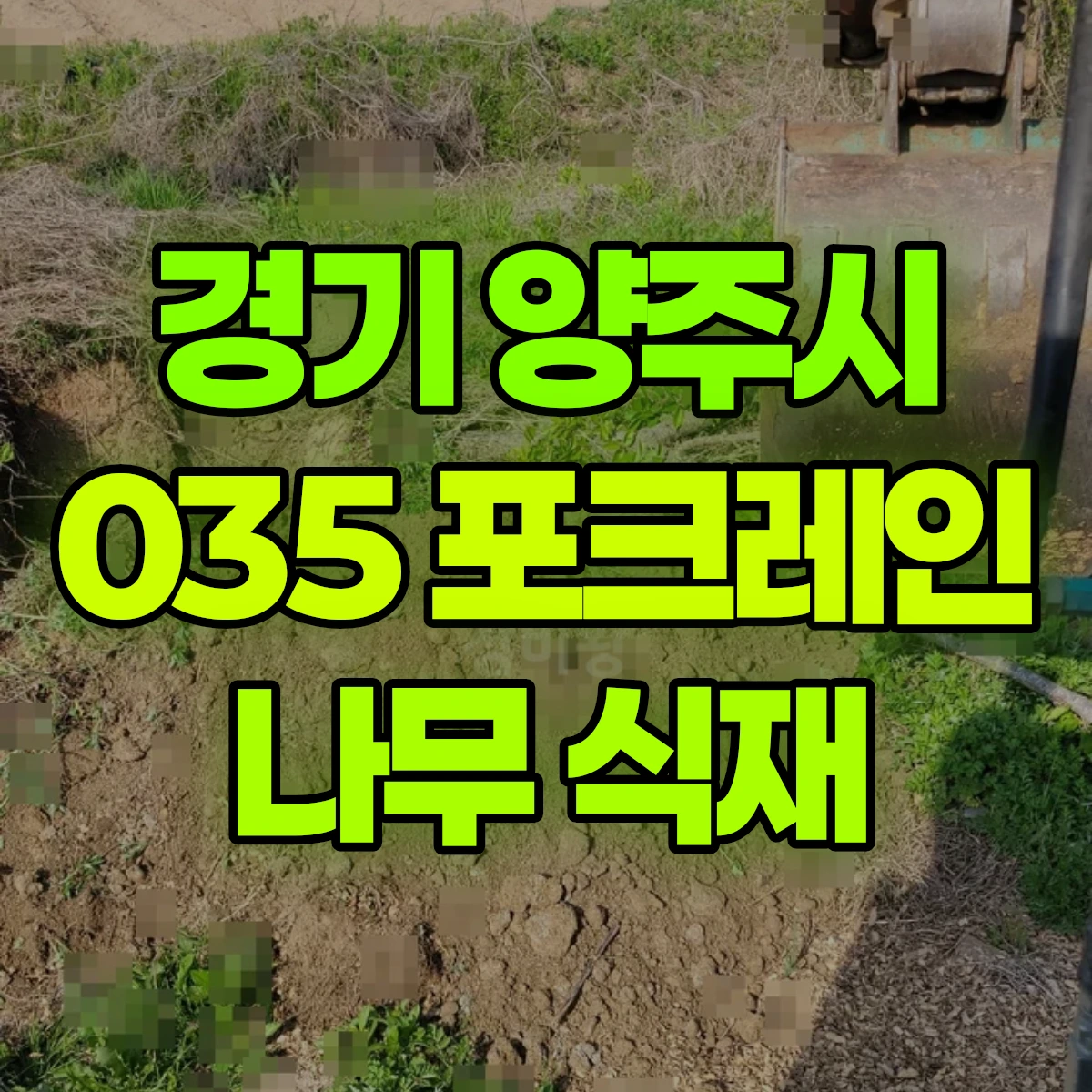 경기 양주시 035 포크레인 나무식재-쪽바가지필수 일대 비용