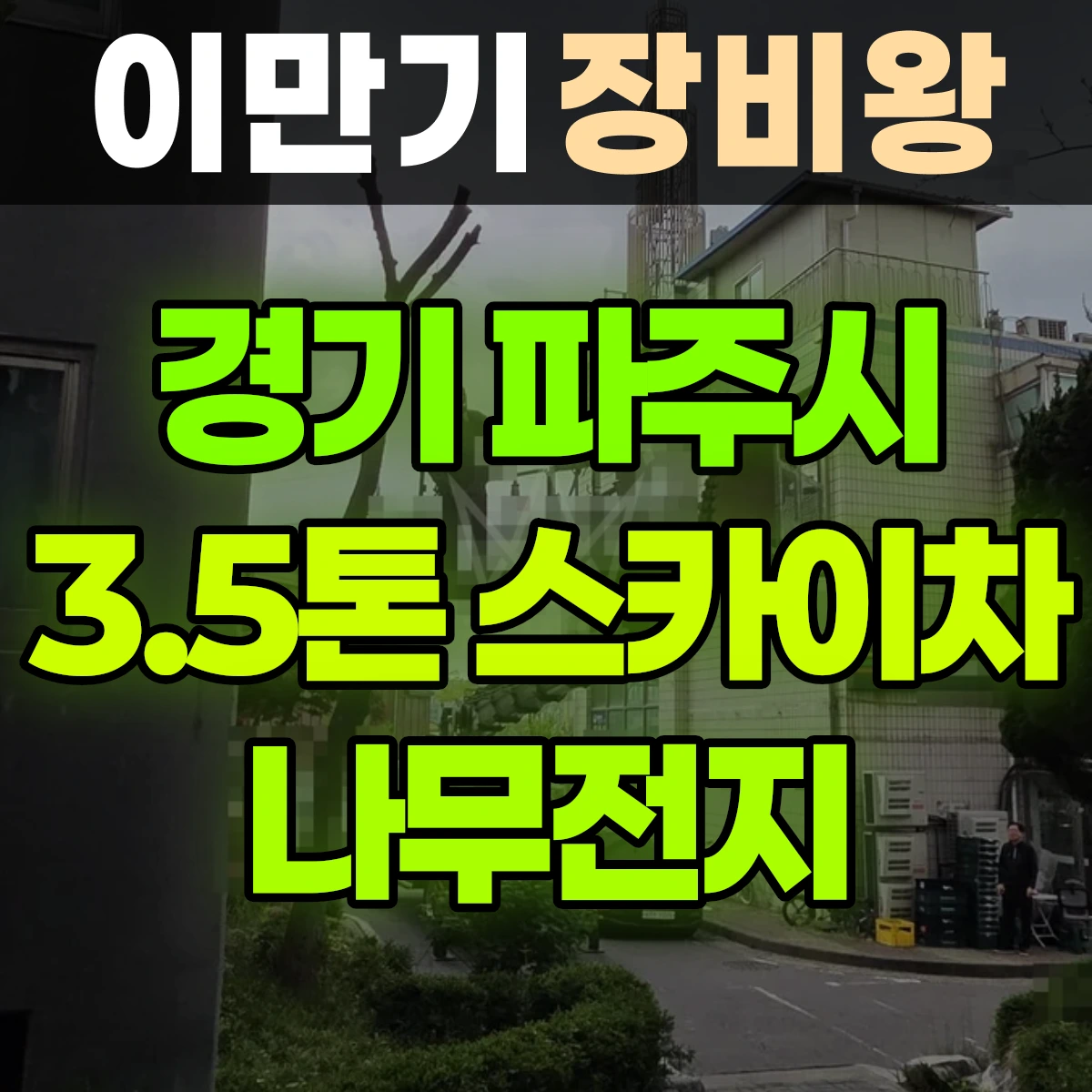 경기 파주시 3.5톤 스카이차 나무전지 1시간 후기