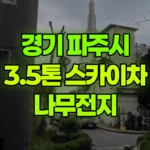 경기 파주시 야당동 스카이차 나무전지 현장 사진