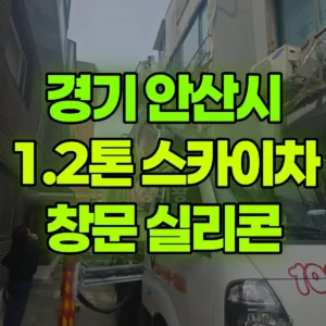경기 안산시 1.2톤 스카이차 창문 실리콘  반나절 후기