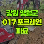 강원 영월군 영월읍 포크레인 파묘 현장 사진