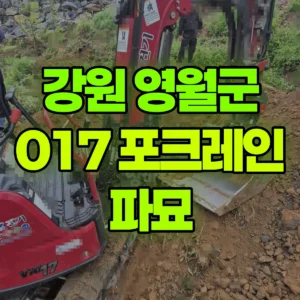 강원 영월군 017 굴착기(포크레인) 파묘 반나절 후기