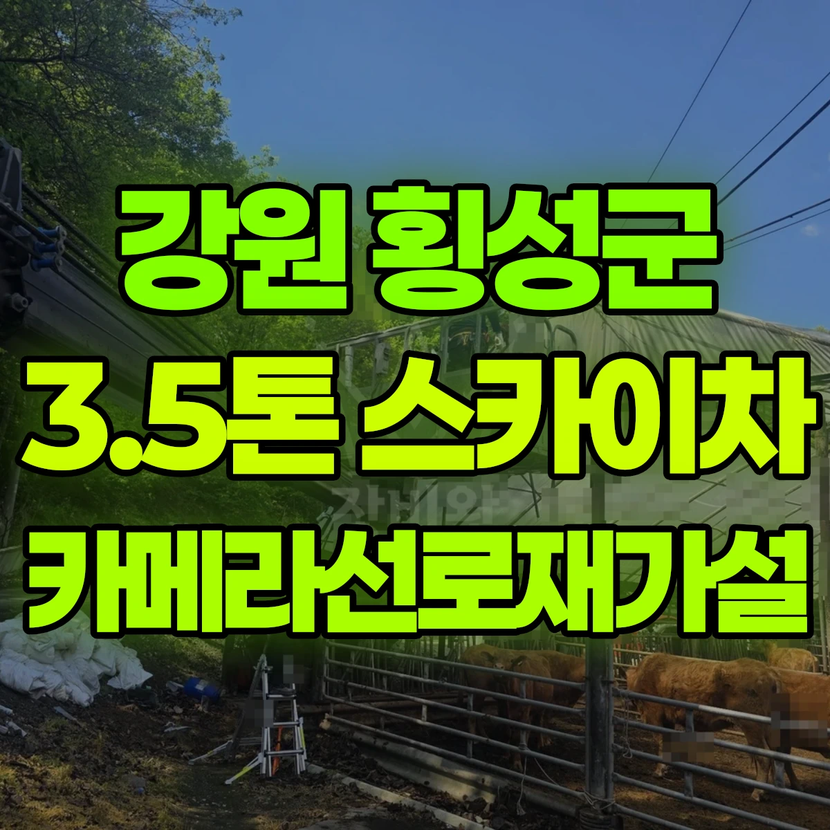 강원 횡성군 3.5톤 스카이차 카메라선로재가설 1시간 후기