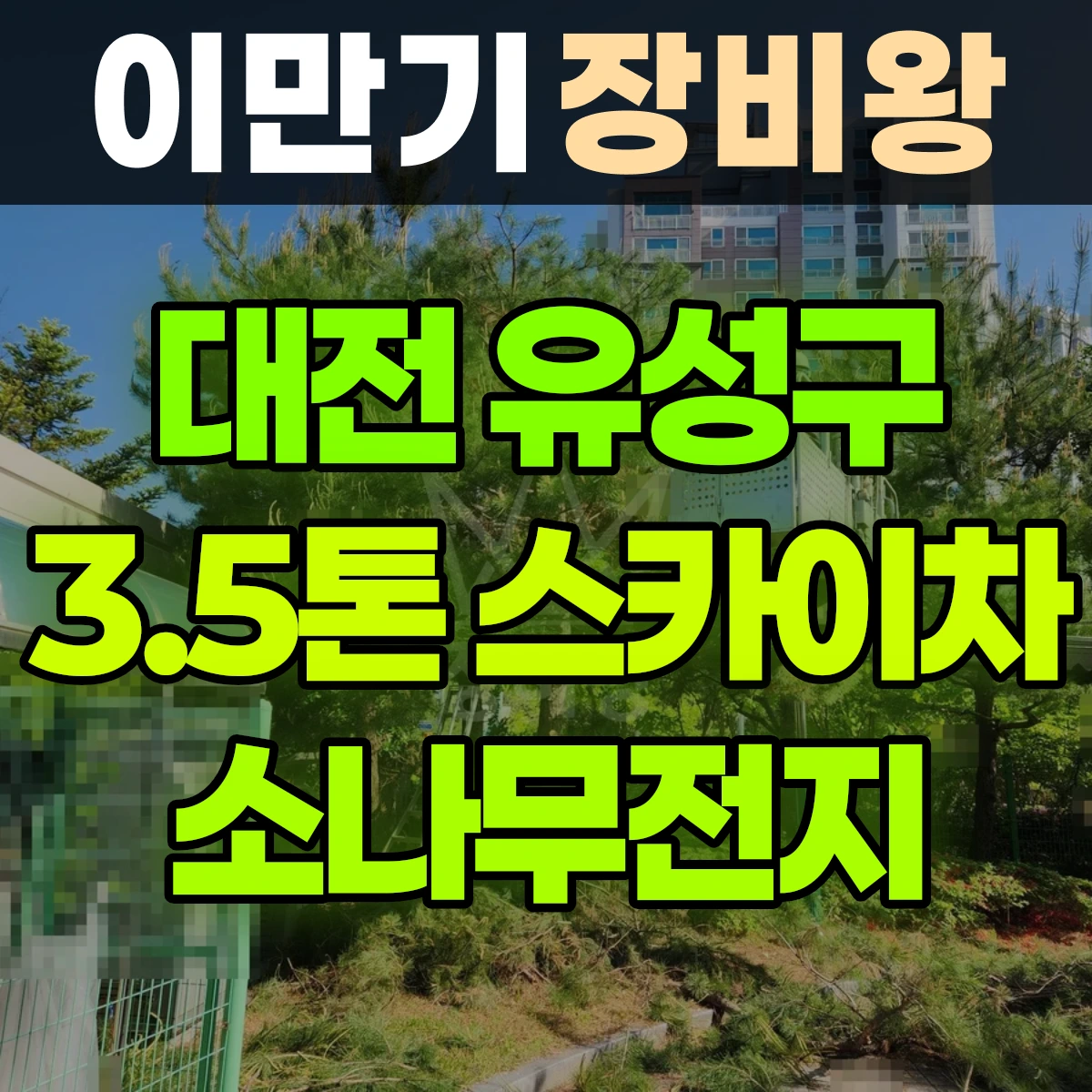 대전 유성구 3.5톤 스카이차 소나무전지 일대 후기