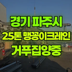 경기 파주시 25톤 맹꽁이 크레인 거푸집양중 반나절 후기