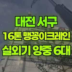 대전 서구 16톤 맹꽁이 크레인 실외기 양중 (6대) 1시간 후기