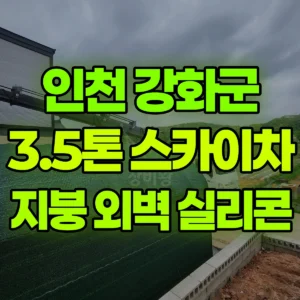 인천 강화군 3.5톤 스카이차 지붕/외벽 실리콘 반나절 후기