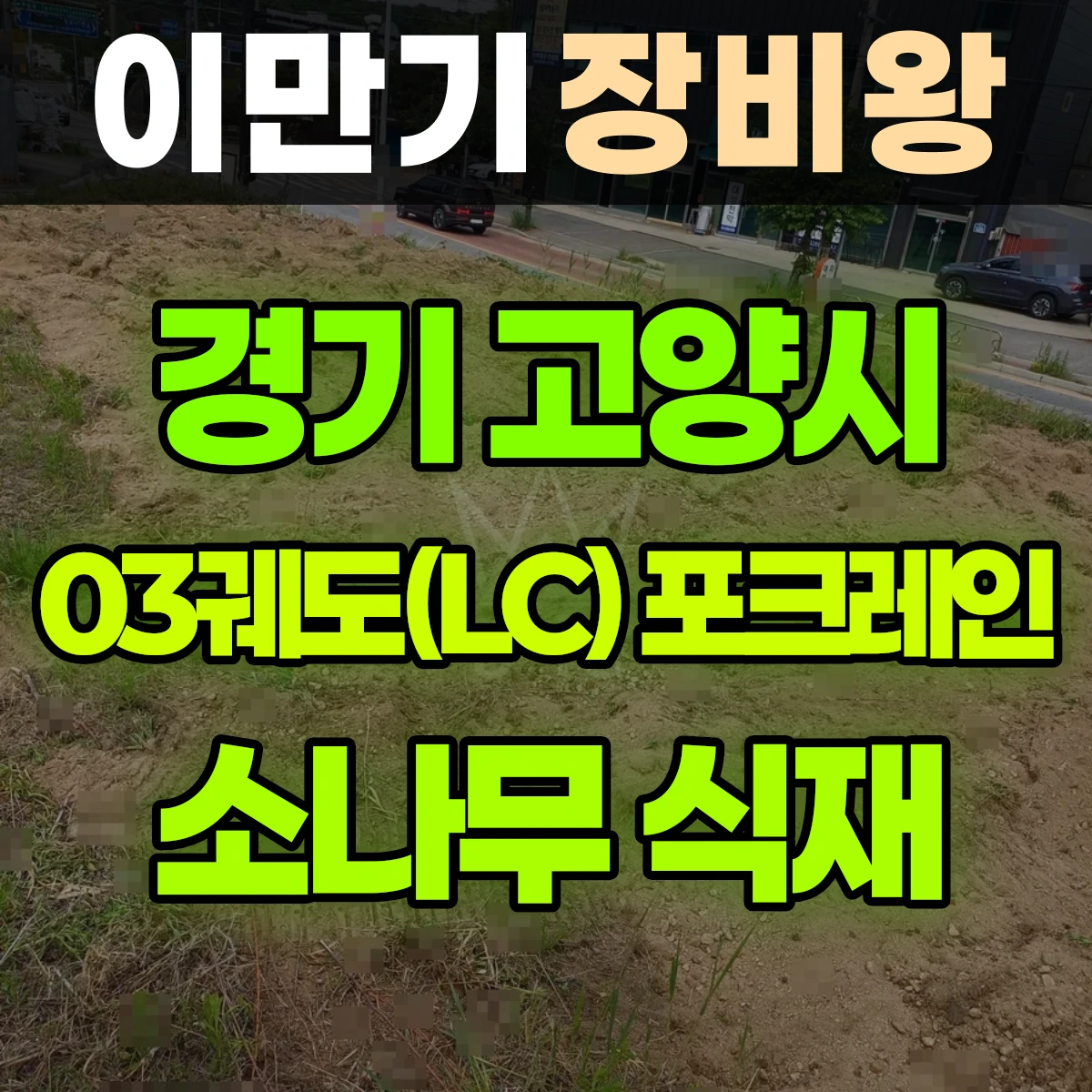 경기 고양시 03궤도(LC) 포크레인(굴착기) 1000평 소나무 식재 전 사전작업 일대 비용