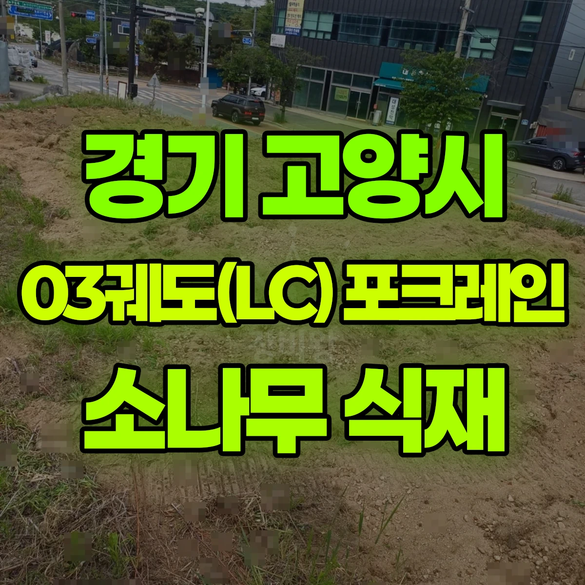 경기 고양시 03궤도(LC) 포크레인(굴착기) 1000평 소나무 식재 전 사전작업 일대 비용