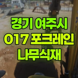 경기 여주시 017 포크레인(굴착기) 나무식재 반나절 비용