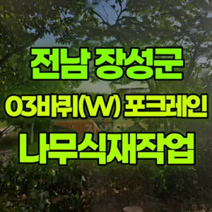 전남 장성군 03바퀴(W) 포크레인(굴착기) 나무식재작업 일대 후기