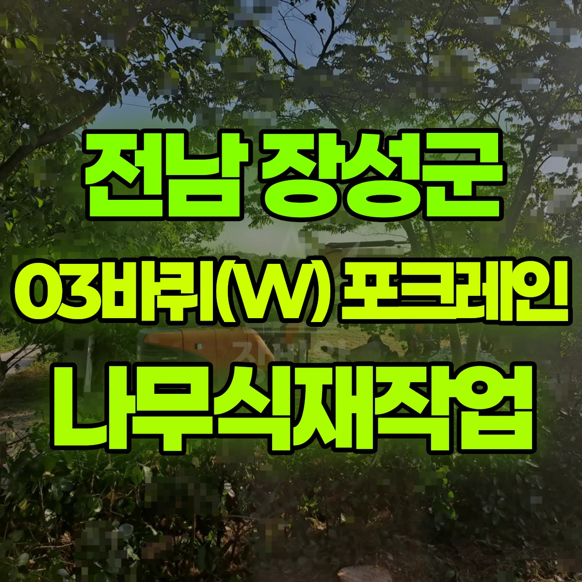 전남 장성군 03바퀴(W) 포크레인(굴착기) 나무식재작업 일대 후기