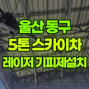 울산 동구 5톤 스카이차 레이저설치및 기피제 작업 2일 후기