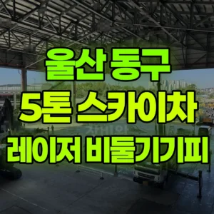 울산 동구 5톤 스카이차 레이저설치및 기피제 작업 2일 후기