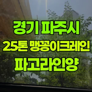 경기 파주시 25톤 맹꽁이 크레인 파고라인양 1시간 비용