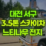 대전 서구 만년동 스카이차 느티나무 전지 현장 사진