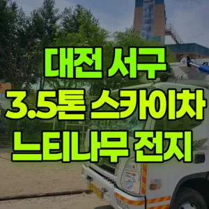 대전 서구 3.5톤 스카이차 느티나무 전지  일대 후기