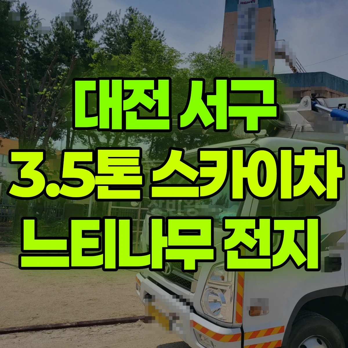 대전 서구 3.5톤 스카이차 느티나무 전지 비용