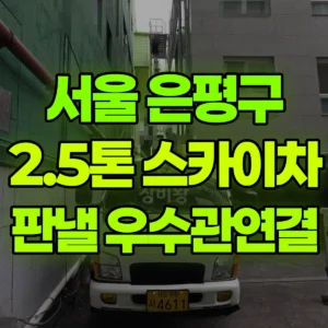 서울 은평구 2.5톤 스카이차 5층 판낼/우수관연결 반나절 후기