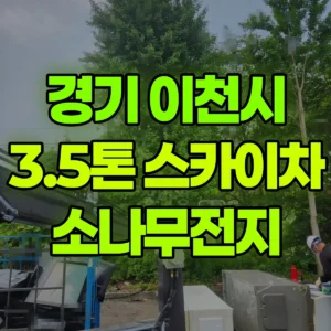 경기 이천시 3.5톤 스카이차 소나무전지 일대 후기