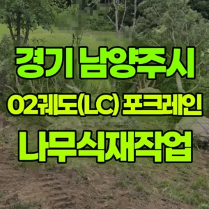 경기 남양주시 02궤도(LC) 포크레인(굴착기) 나무식재작업 일대 비용