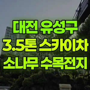 대전 유성구 3.5톤 스카이차 소나무등수목전지 / 2대작업 일대 후기