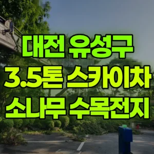 대전 유성구 3.5톤 스카이차 소나무등수목전지 / 2대작업 일대 후기