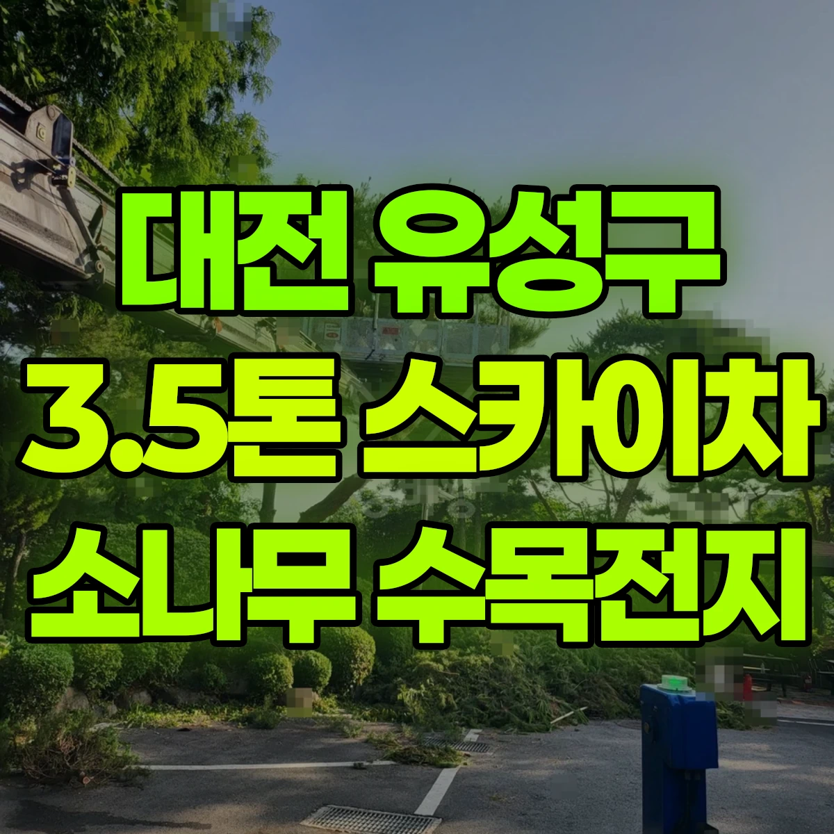 대전 유성구 3.5톤 스카이차 소나무 수목전지 비용