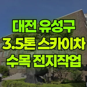 대전 유성구 3.5톤 스카이차 소나무등수목전지 / 2대작업 일대 비용