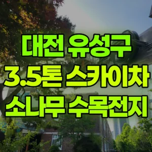 대전 유성구 3.5톤 스카이차 소나무등수목전지 / 2대작업 일대 후기