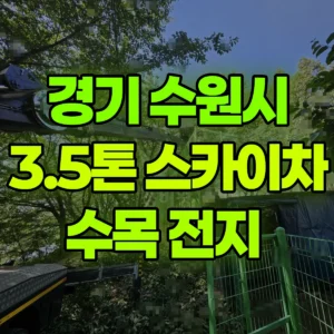 경기 수원시 3.5톤 스카이차 수목 전지  반나절 후기