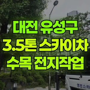 대전 유성구 3.5톤 스카이차 소나무등수목전지 / 2대작업 일대 비용
